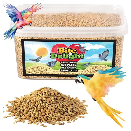 Bite & Delight 800 g Riz Paddy – Nourriture pour Oiseaux Sauvages, Perroquets, Pigeons et Faisans – Aliment Naturel sans Additifs Artificiels