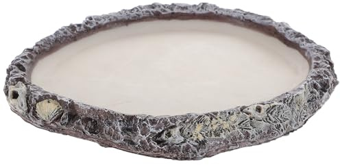 LOEFLIFA Cuenco de Agua para Reptiles y Plato de Comida para Lagartos, Material Seguro y Fácil de Limpiar, Tamaño Medio, para Terrario, Adecuado para Tortugas y Dragón Barbudo