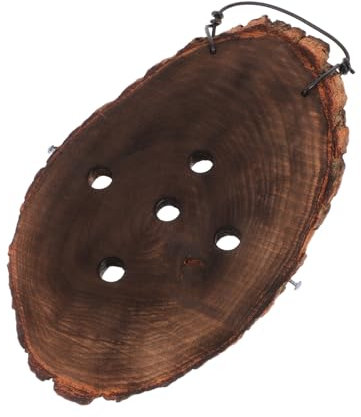 CAXUSD Jardinière Murale Bois Fougère Corne De Cerf pour Orchidées Platycerium Succulentes Planche De Montage Végétal Vertical