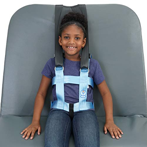 EZ-ON MAX2 Vest & Mount (Medium(Chest Circumference: 32-37))