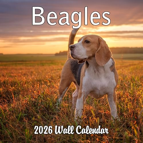 2027 Beagles Monthly Wall Calendar | Cute Dog Calendar September 2026 - December 2027