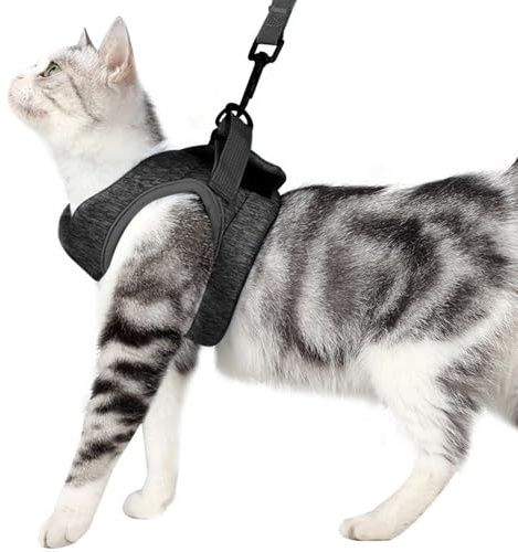 XFSRG Arnes Gato Cómodo y Transpirable Evita Que Se Wscape Cierre de Velcro Resistente Ajustable Accesorios para Mascotas