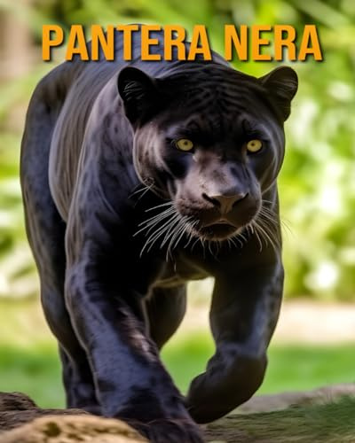 Pantera nera: (Libri sugli animali per bambini)
