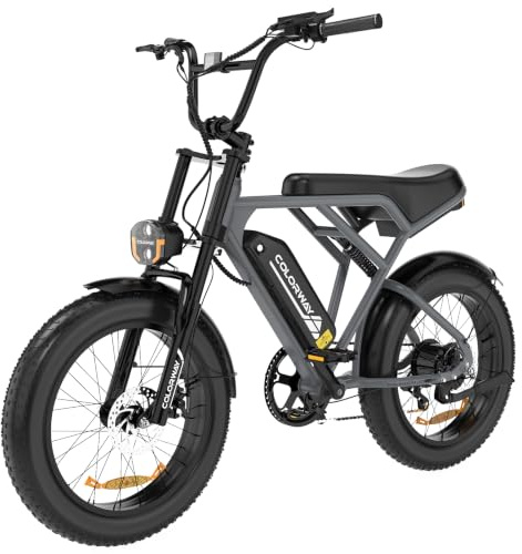 COLORWAY Vélo Électrique 20 Fat Tire 250W pour Adultes, Électrique Tout Terrain Homme, Batterie Amovible 36V 12Ah Grande Autonomie, avec Écran LCD Intelligent, Freins à Disque-BK29G