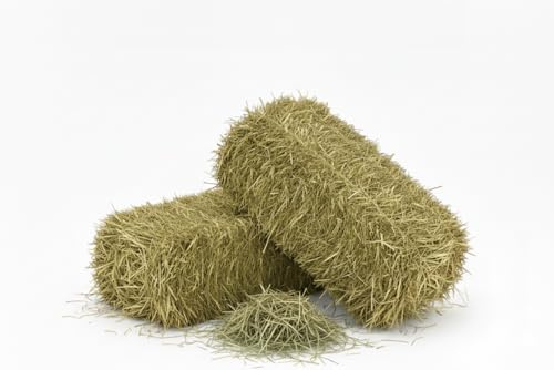 Fieno Naturale per Cavalli, Ovini, Caprini e Bestiame 10 Kg | Balla di Fieno Italiano di Prato di Montagna Biologico | Alimento per Tutti i Roditori, Conigli e Bestiame | Alta Qualità