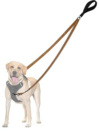 PetBonus Laisse Anti-Traction pour Chien, Double Laisse Anti-Traction réfléchissant, pour l'entraînement et la Marche, pour Chiens de Grande Taille et Moyenne (Marron)
