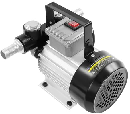 Pompa diesel 20-60 l/min, 220 V, pompa dell'olio elettrica, pompa carburante elettrica, pompa elettrica per benzina, tipo di spina standard UE, per diesel, cherosene