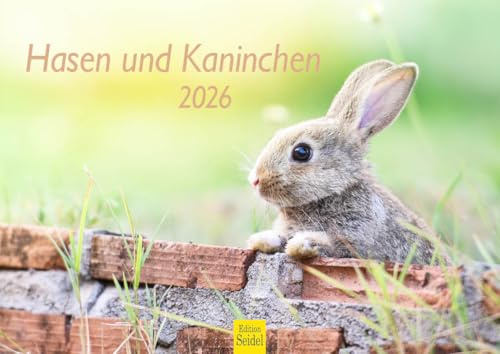 Edition Seidel Calendario premium 2026 con conejos y conejos, formato DIN A4, calendario de pared, calendario de animales, animales salvajes, animales del bosque, mascotas