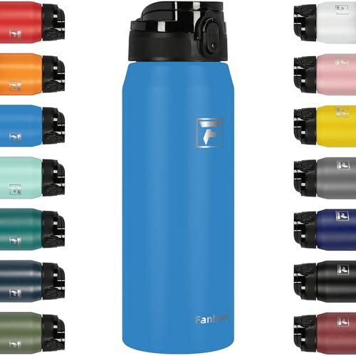 Fanhaw 750 ml Insulated Stainless Steel Water Bottle with 1 Lid (Chug Lid) - For Kids, Women, Men | Leak & Sweat Proof with Anti-Dust Lid (Sky Blue)