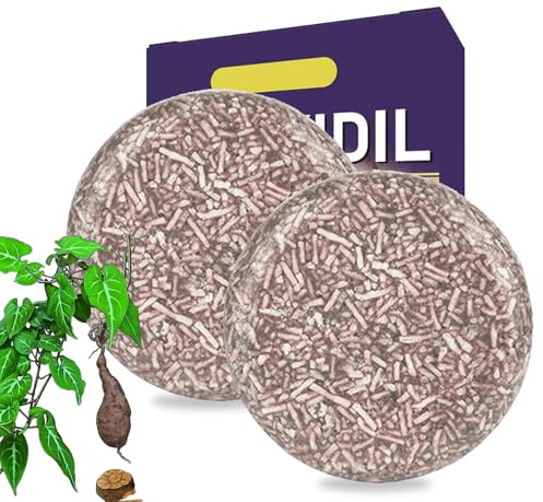 Shampoing Cheveux Blanc Solide Au Polygonum,Shampooing Colorant cheveux Blancs,Reverse Gray Hair Shampoing Solide,Anti Cheveux Blanc Savon Noir Cheveux,Anti Gray Bar Black Soap pour Naturel Doux (2PC)