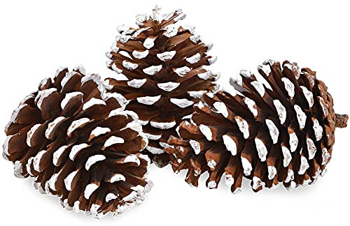 Matches21 Lot de 3 pommes de pin avec pointes à neige pour décoration hivernale Marron Ø 7 x 10 cm