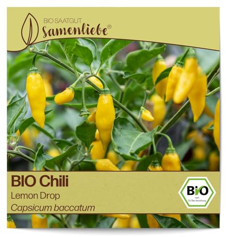 Samenliebe BIO Chili Samen Gemüsesamen alte Sorte Lemon Drop 10 Samen Gemüse Samen Garten Chili Saatgut samenfeste einjährig Pflanzen für Gewächshaus, Garten und Balkon