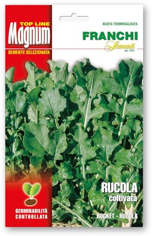 Rucola coltivata in semi contenunti in busta grande da 36 grammi
