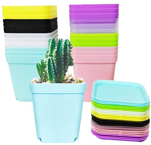 ATB-Foger 24 vasi da fiori quadrati colorati, 7 cm, vasi di propagazione con sottovaso, in plastica, per fiori, piante grasse, piantine, decorazione di giardino, ufficio e balcone