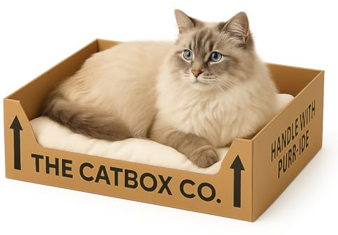 The CatBox – Recyclable Cardboard Cat Bed with Washable Cushion | Eco-Friendly, Flat-Pack Box for Cats Who Love to Sit, Sleep and Scratch