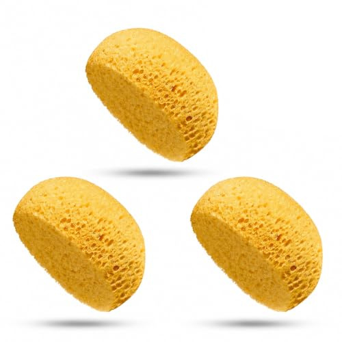 WYRGQIQN Juego de 3 esponjas de Pasta de Textura extraíble para Pintura acrílica, Bricolaje de reparación de Paredes de Yeso, Ideal para Clases de Arte y Pintura sobre Lienzo
