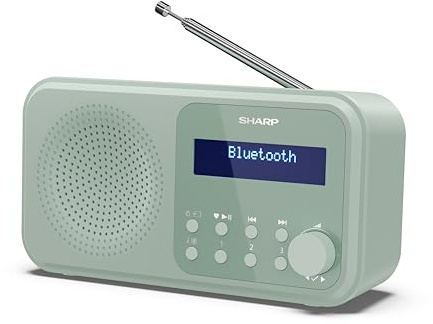 Shap DR-P420(GN) - Radio DAB+/DAB/FM compatta e portatile con streaming audio senza ﬁli Bluetooth e alimentazione tramite USB o batteria, colore, verde