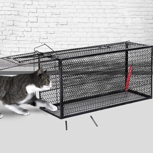 Pgkog Kattfälla, kattfälla, kattfälla bur för herrelösa katter lämplig för djuraffärer för att hjälpa djur hemma och bada