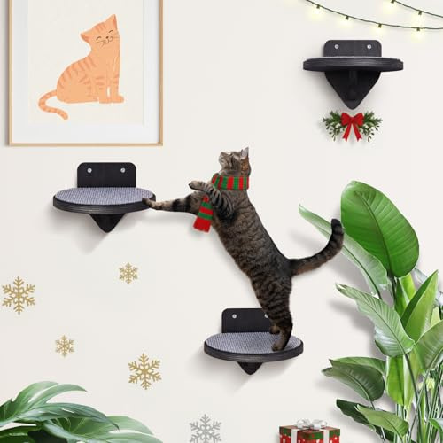 XL Premium Kletterwand Katzen aus Birkenholz | 3er-Set Katzentreppen mit Kratzflächen | Wandmontage Katzenleiter | Kletternetz für Katzen