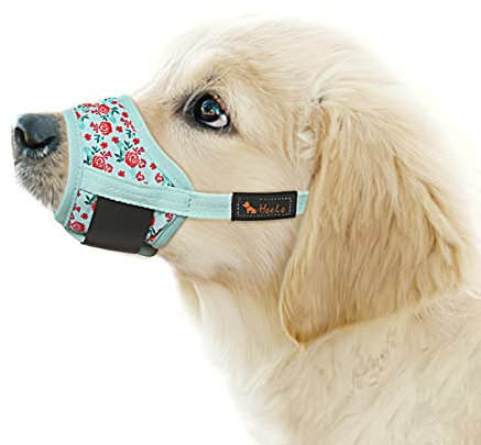 HEELE Hund Maulkorb, Maulkörb für Hunde, Weiche Nylon Drucken Maulkorb Air Mesh Atmungsaktiv Einstellbar Schleife Muster Haustiere Maulkörbe für Kleine Mittlere Große Hunde, Cyan Blume, M