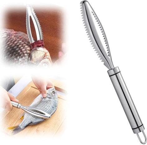 ComedyKing Fischentschupper, Fischschuppen Entferner Fischentschupper Edelstahl Entferner Fisch Entschuppen, Filetiermesser Fisch Profi Fisch Scaler Scraper Fischschaber Küchenhelfer (1pcs)
