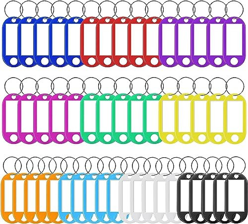 100 Stück Schlüsselanhänger, Kunststoff Schlüsselanhänger mit Etiketten, Beschriftbar Schlüsselschilder mit Schlüsselringen, 10 Farben Schlüssel Tags Etikett für Zuhause Büros Pet ID Gepäckanhänger