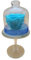 ROSA ETERNA AZUL. Cúpula de Cristal con Base. Rosa azul natural Preservada. FLOR PRESERVADA AZUL. Regalo original. Cumpleaños, aniversarios, decoracion. Hecho por artesanos floristas en España.