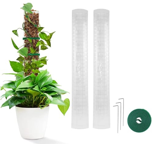 6 stycken skumstänger av plast, 24 tum, stapelbar, för inomhusväxter, med 6 jordpinnar, 2 x kardborreband, 10 x 20 cm, gröna ränder (6 stycken)