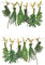 ewtshop® Fenstersticker Kräuter, Herbs, Fensterbilder, Windowsticker, Fensterdeko, Fenster Tattoo, Fensterfolie, Fliesensticker, Fliesenaufkleber, mehrmals