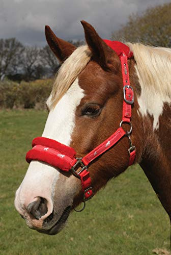 Rhinegold Logo Headcollar Finiture in Pile - COB - Rosso