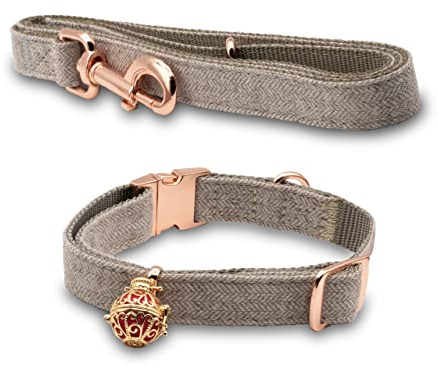 Collare Cane con Guinzaglio Regolabile – Set Collare per Cani Piccoli e Medi con Ciondolo Apribile Personalizzabile – Elegante e Resistente – Grigio Taglia S
