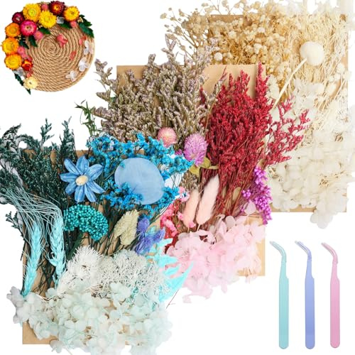 Real Dried Flowers for Resin 3 Pack, Natural Pressed Flowers | Natural mixed dried flower pack with tweezers for DIY resin crafts, jewelry & candles. (Multicolor White Blue)