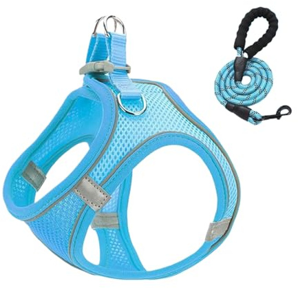 Harness Set - Justerbar anti-dragkombo | reflekterande vadderad bröstrem, lätt andningsbart nät, Quick-release säkerhetsspänne, mjukt grepp, perfekt för dagliga utomhuspromenader