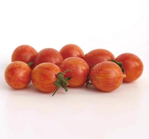 grosella espinosa resistentes - semillas semillas de perennes de bonsái para techo verde decorativas resistentes 200pcs