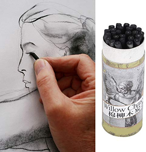 Dioche Suministros de Materiales de Dibujo Barra de Carbón para Dibujo con Lápiz de Carbón de 25 Piezas para Artistas - Herramientas de Artístico Versátiles para Bocetos, Pintura Al óleo y China -