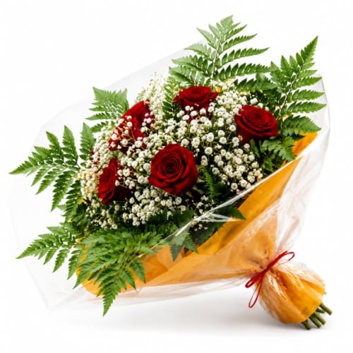 Ramo de 6 Rosas Rojas Frescas Naturales con Paniculata | Para Ella, Detalle Romántico, Aniversario, Cumpleaños, San Valentín, Día de la Madre, Sorpresa Especial