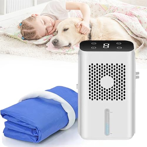 Colchón Refrigerado Por Agua, Colchón Con Aire Acondicionado Silencioso De 1,7 L Con Pantalla Lcd, Temporizador Y Enfriamiento De 3 A 8 °c, Topper Refrigerante Por Agua, Para Personas Calur 160*140cm