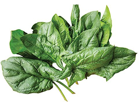 Burpee A La Carte Hybrid Spinach Seeds 300 seeds