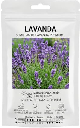 Semillas de Lavanda Aromática Natural para Jardín y Maceta – DECOALIVE Planta Mediterránea