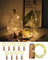 ArkCamp 10 Pack Wine Bottle Lights with Cork - 2M 20 LED Warm White Cork Lights for Bottles - Battery String Lights for Christmas, Halloween, Parties, Wedding Decoration, Gifts
