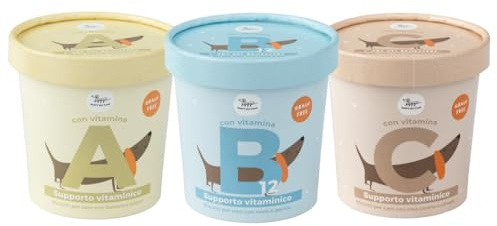 Set 3X Biscotti per Cani Vitaminici, Snack per Cani Vit. A, B12, C | ABC della Salute del Cane senza Cereali nè Glutine | Appetitosi come uno Snack utili come un Integratore | 3x100gr Hygge Dog®