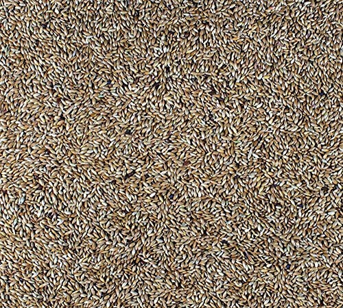 Johnston & Jeff 3kg Plain Canary bird seed food sold by Trusty Pet Supplies