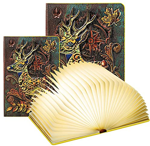 DEVASO Lampe Livre Led,Livre Lumineux pour Decoration Chambre, Maison et Bureau Lampe Lumio, Idee Cadeau Noel et Anniversaire Homme & Femme