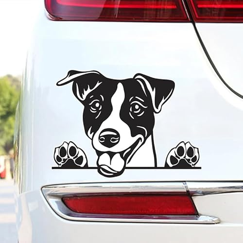 2 pegatinas de vinilo impermeables para camiones, motos, scooters, perros, 15 x 11 cm, 2 unidades, accesorios de coche, juguetones para propietarios de mascotas, # DK174