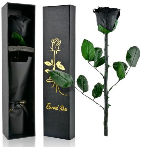 PLECUPE Ewige Rose Geschenke für Frauen, Echte Infinity Rose mit Stiel, Haltbare Frauen Konservierte Blume in Geschenkbox, Geschenk für Mama Freundin zum Geburtstag Muttertag, Schwarz