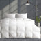 APSMILE Bettdecke 155x220 Sommer Baumwolle mit 50% Daunen 50% Federn - Leichte Sommerdecke Daunendecke 155x220 - Summer Duvet - Dünne Federbettdecke with RDS Zertifiziert für Tierwohl