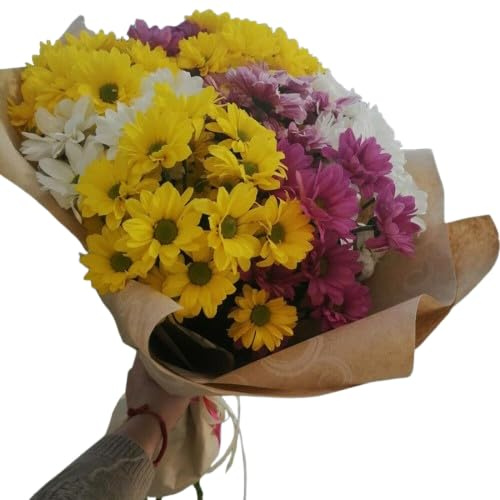 Bouquet de Flores Frescas Naturales MARGARITAS Crisantemo con 100 Flores Largas y Resplandecientes