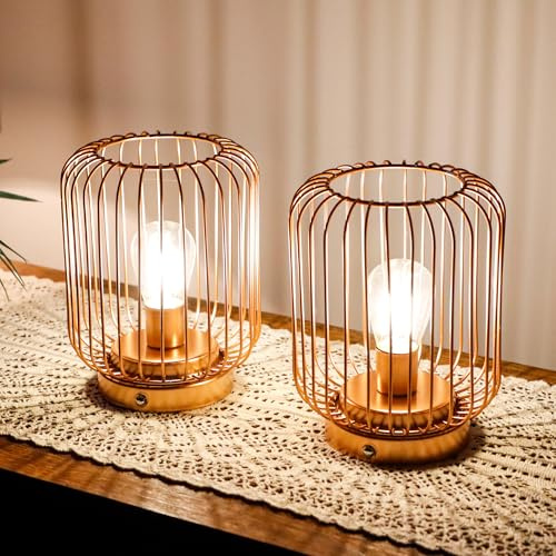 TRIROCKS Set of 2 Cylinder Metal Battery Operated Table Lamp 17cm H Rechargeable Bedside Lanterns Cage Shape Cordless Touch Dimmable LED Lights for Indoor Outdoor Bedrooms Office Wedding Parties Patio