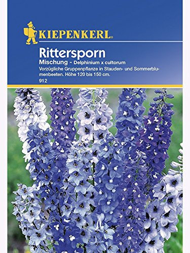 Delphinium Rittersporn mehrjährige Mischung