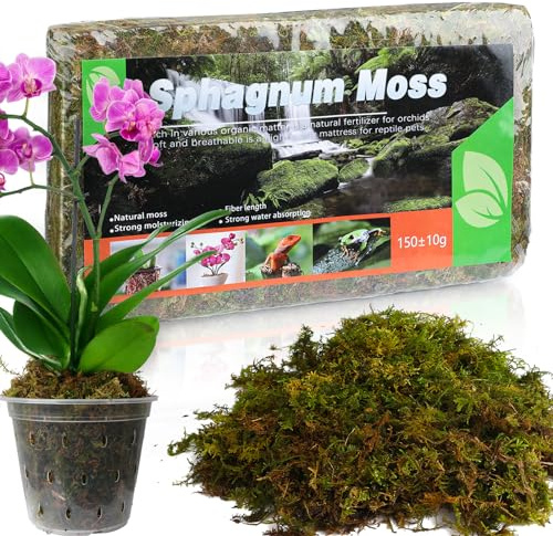 GOTVUGE Sphaigne Moss 5L/150g (1 Pièce)